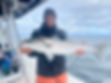 big cape cod striper