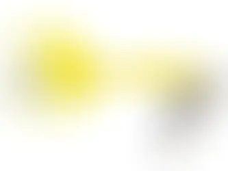 The Best-Selling Trout Lure of All Time