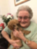 Visits from pets (staff often bring