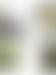 COLOR TREND FORECAST: BEHR BRINGS US BACK TO NATURE