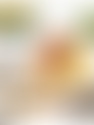 Curated Shopping and Online Interior Design Services