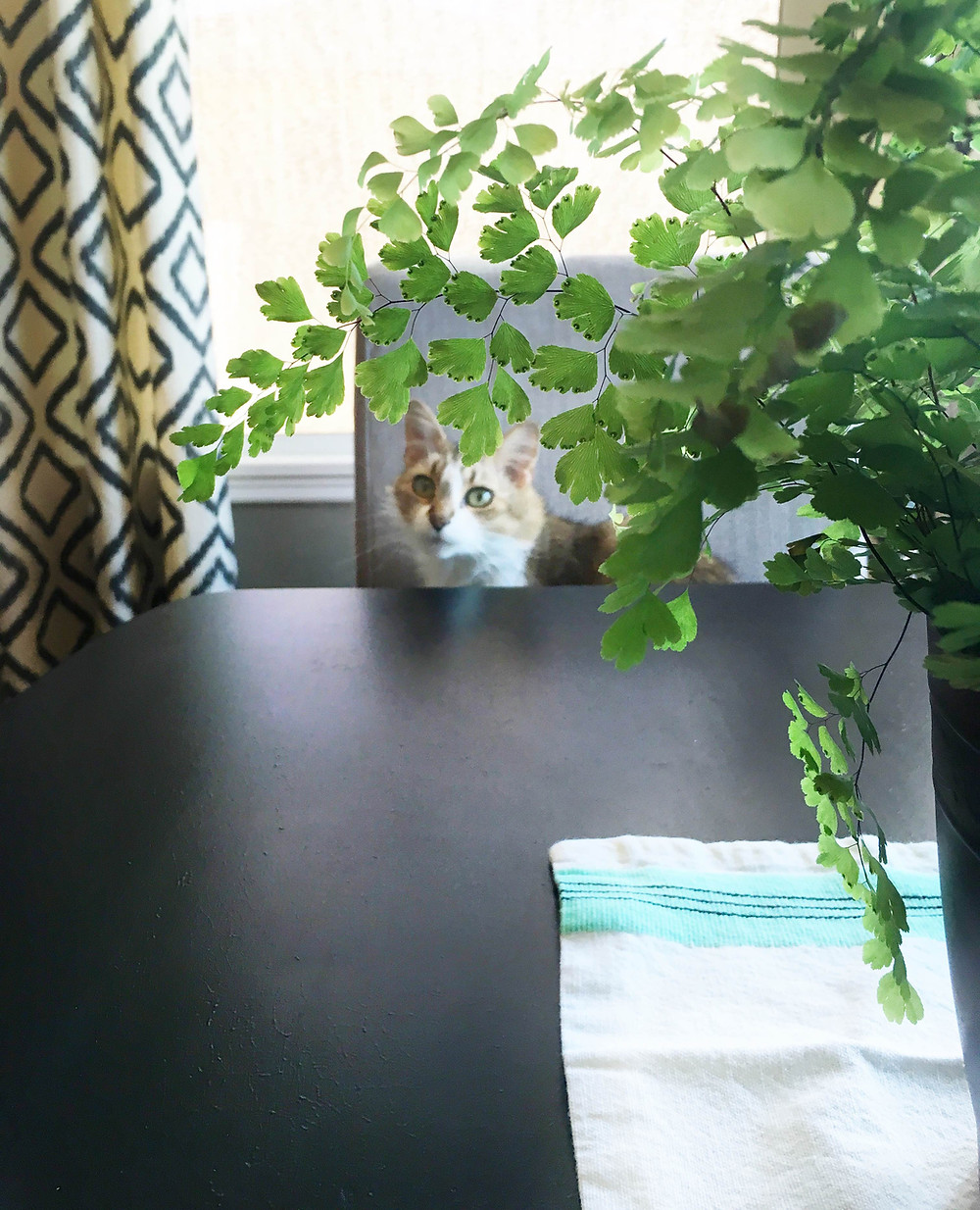 After: Dining Room
