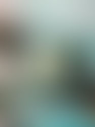 Confessions Of A Collect-oholic