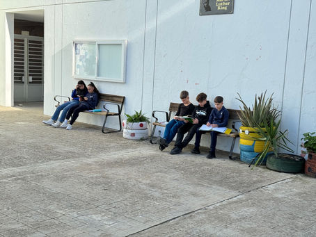 Lectura planificada.