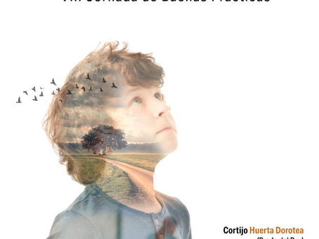 VIII Jornada de Buenas Prácticas