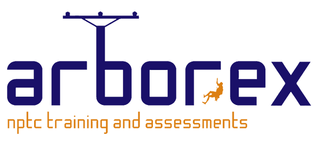 Contact Arborex Nous sommes soucieux de la sante de vos arbres et analysons leur situation et leur etat pour votre securite. contact arborex