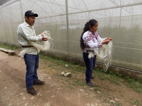 Preserving heritage: Co-developing a fiber-extraction machine with indigenous artisans in Mexico