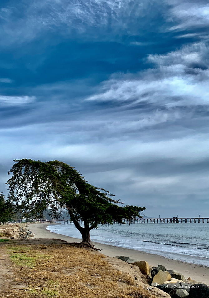 I Am A Unique ..... Tree