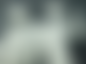 GEMELLI-I DIOSCURI-CASTORE E POLLUCE