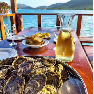 plate of Oysters with a glass of beer