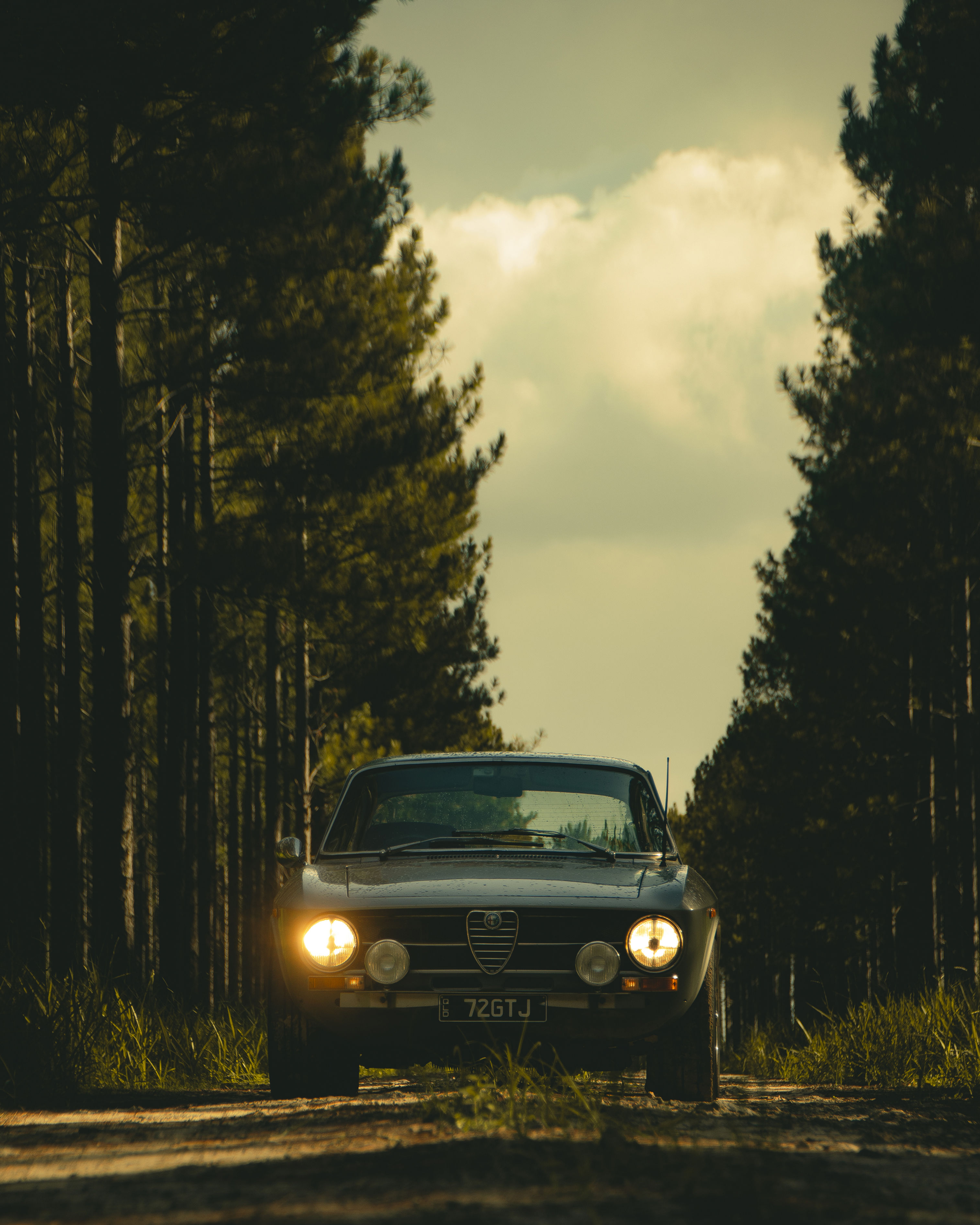 Alfa Romeo Giulia 1600 GT Junior Satin Print