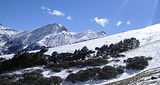Trek-P-25-Dhel-Meadow-under-snow.jpg