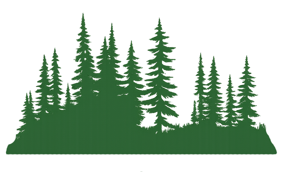 pine forest 2.png