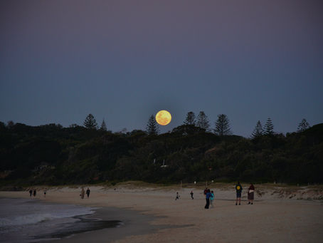 Field Notes: The Wellness Travel Trends Shaping 2026