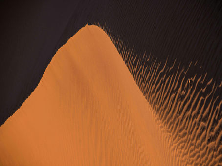 a desert safari