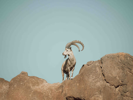 Hacks to Help You Choose Your Perfect Travel Destination