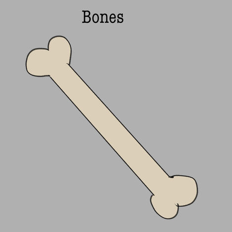 bone concept