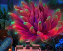 Flocked sea creature