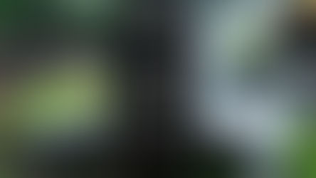 【SKYSQUAREの道-039-】6トンの巨大コンクリート部材開拓記~石~