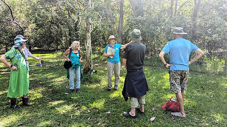 Landcare 16Nov24 Sam 3a.jpg