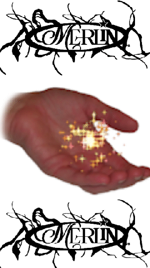 ASDSAD.gif