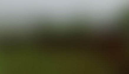 Exams, aber mit sehr viel Glück