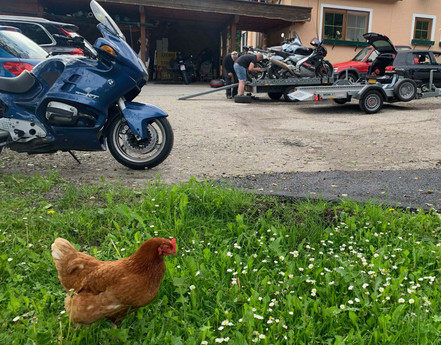 De kippen houden het goed in de gaten, en leveren verse eitjes bij een stevig ontbijt. 
