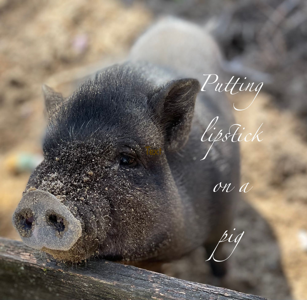 Putting lipstick on a pig