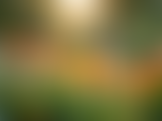 Cultivating Self-Love Through Powerful Affirmations