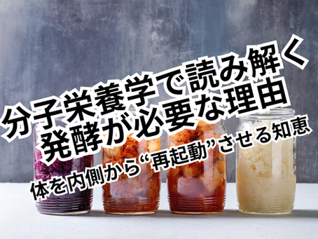 【分子栄養学で読み解く】発酵が必要な理由〜体を内側から“再起動”させる知恵
