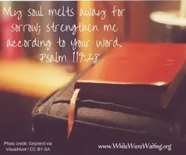 Grief Scripture Challenge:  Worn Out and Weary?  Jesus Understands.