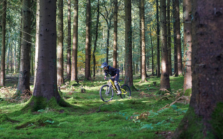 Mountain Biking in Forest of Dean.png