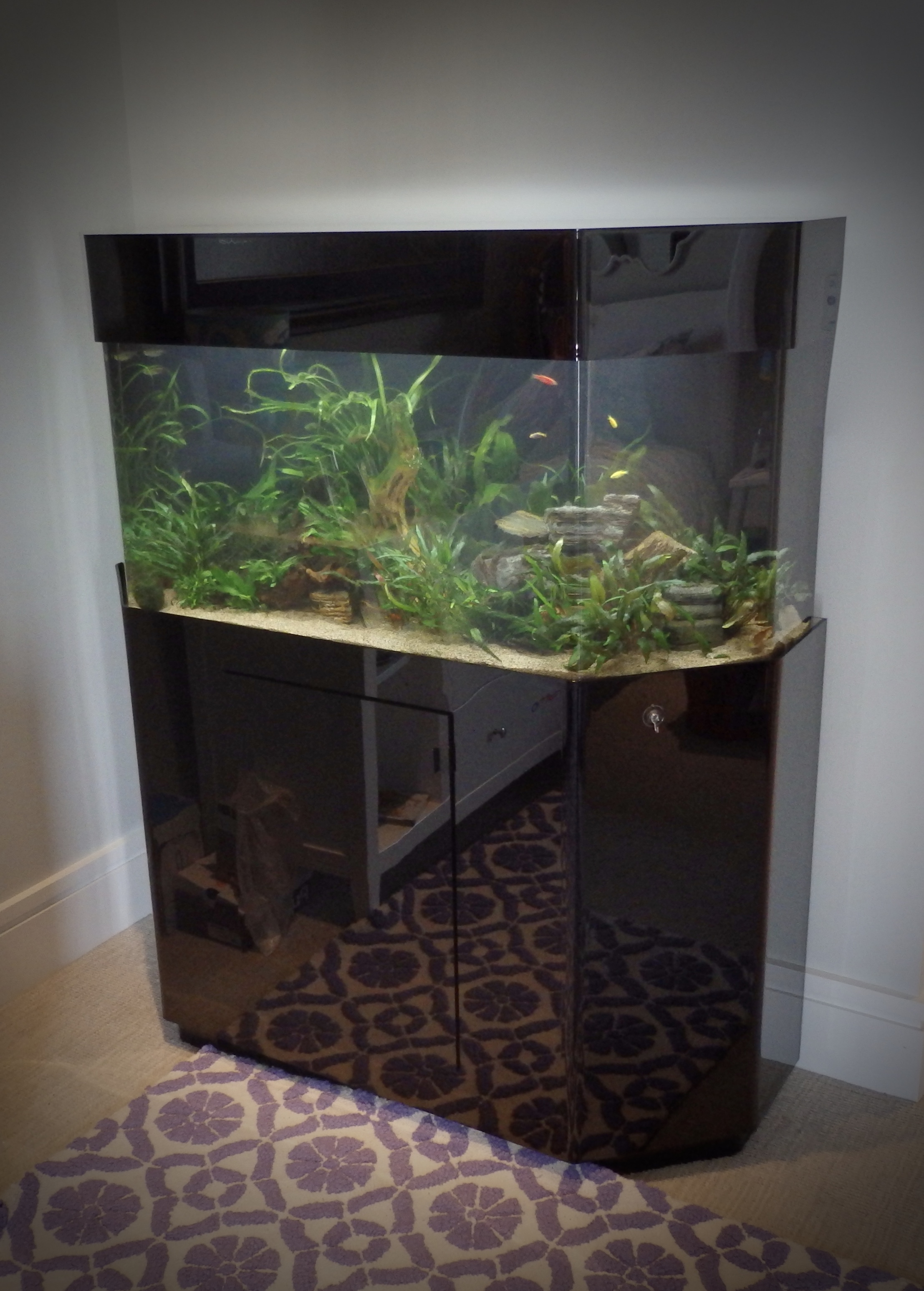 aquarium decor for sale aquarium decor for sale