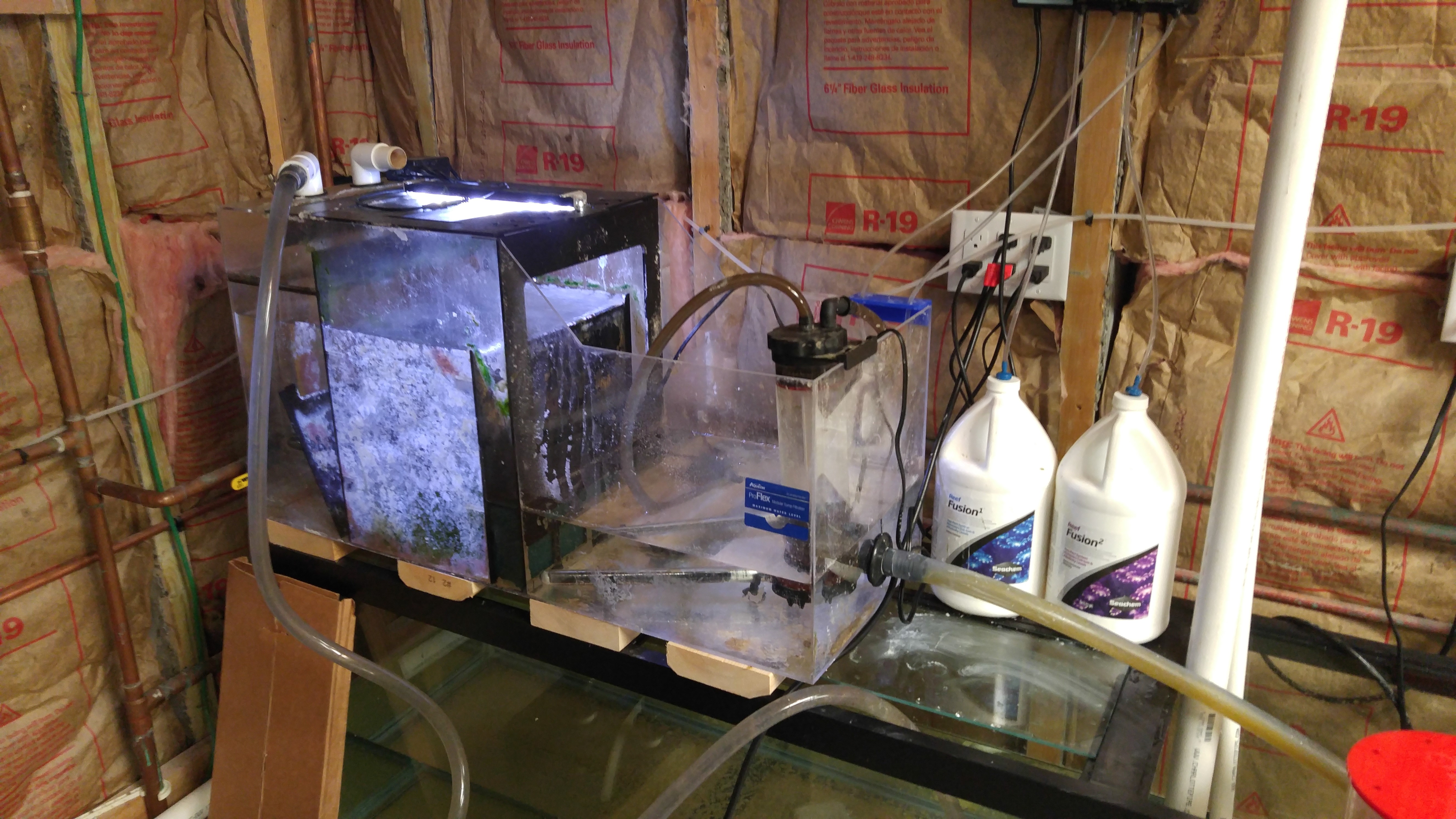 Aquarium sales, service & leasing Aquatic World