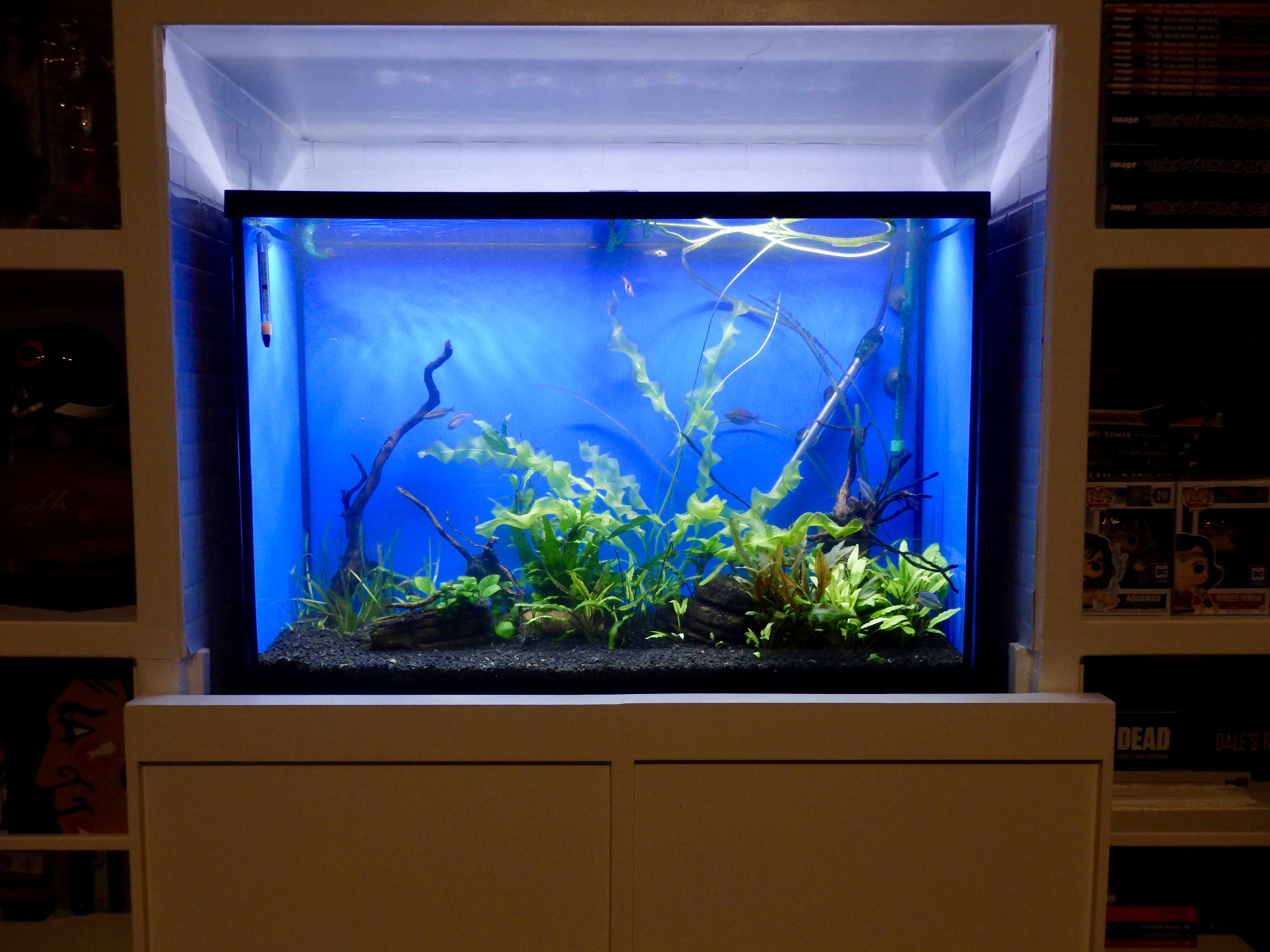Aquarium sales, service & leasing Aquatic World