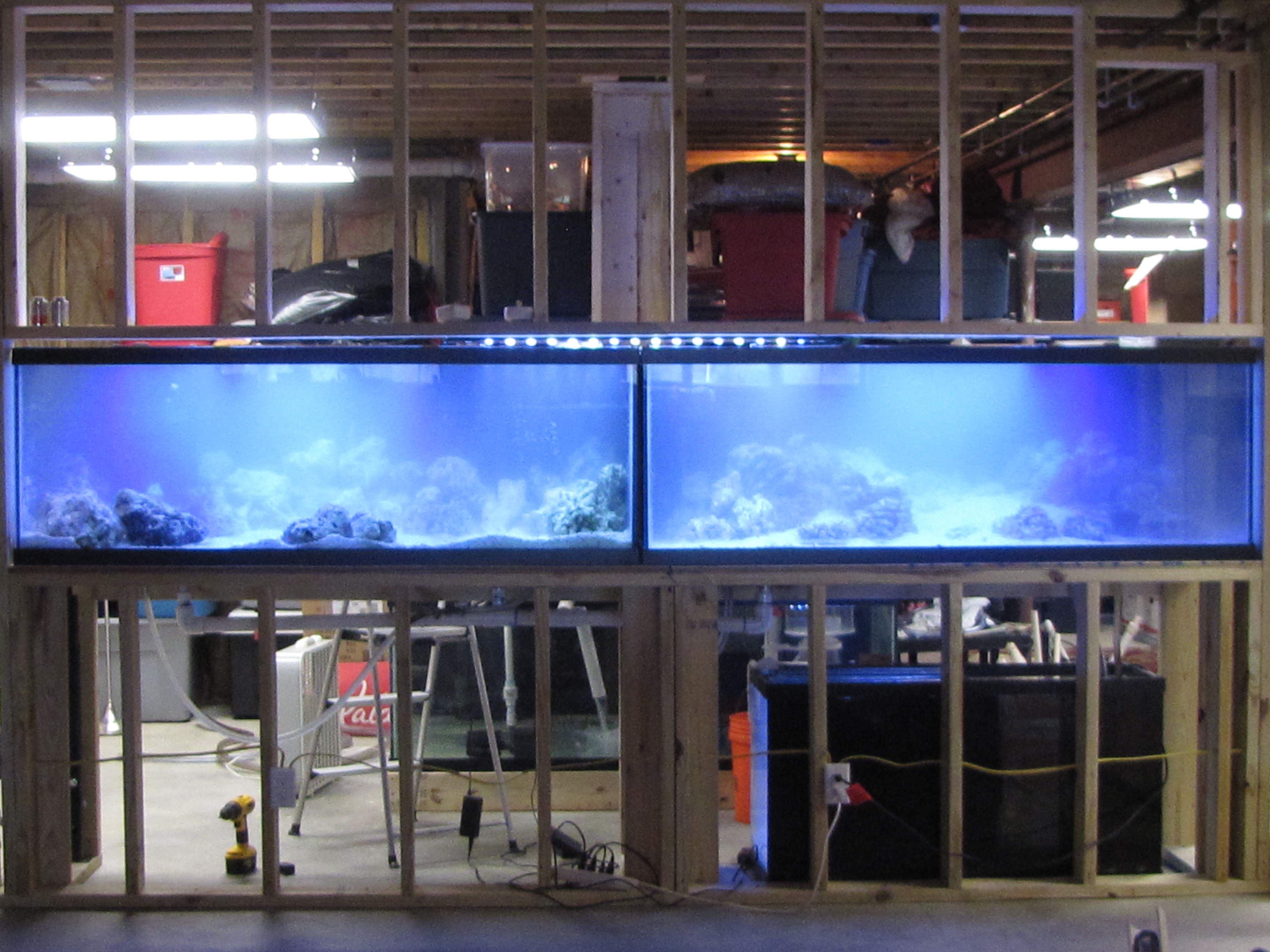 Aquarium sales, service & leasing Aquatic World