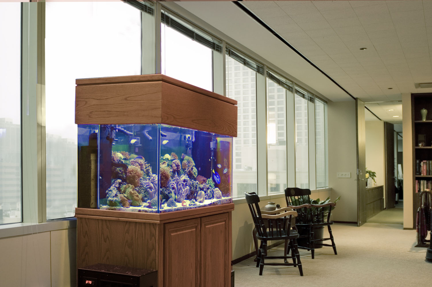 Aquarium sales, service & leasing Aquatic World