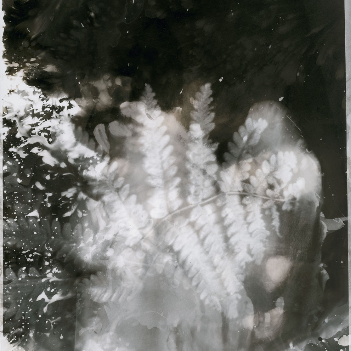 11x14_1.jpeg