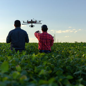 Piloto de Drone Agrícola: Salário, Mercado de Trabalho e Oportunidades em 2025 