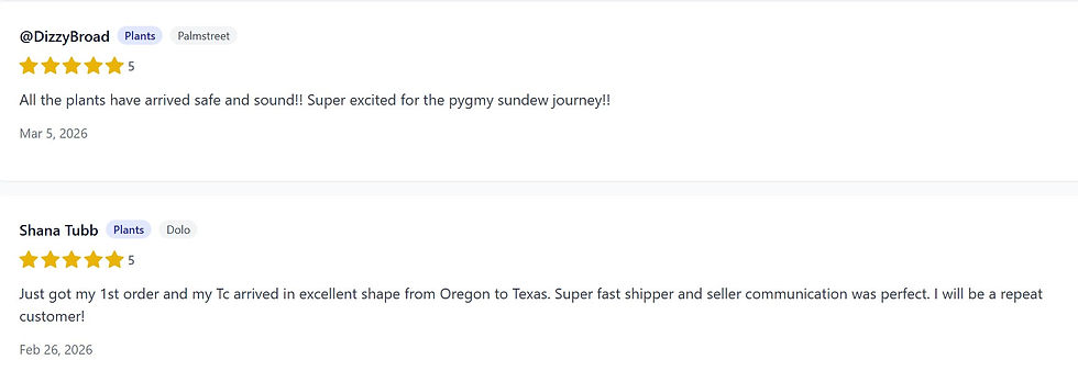 Reviews 1