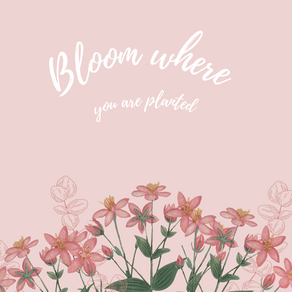June 2022 Wallpapers