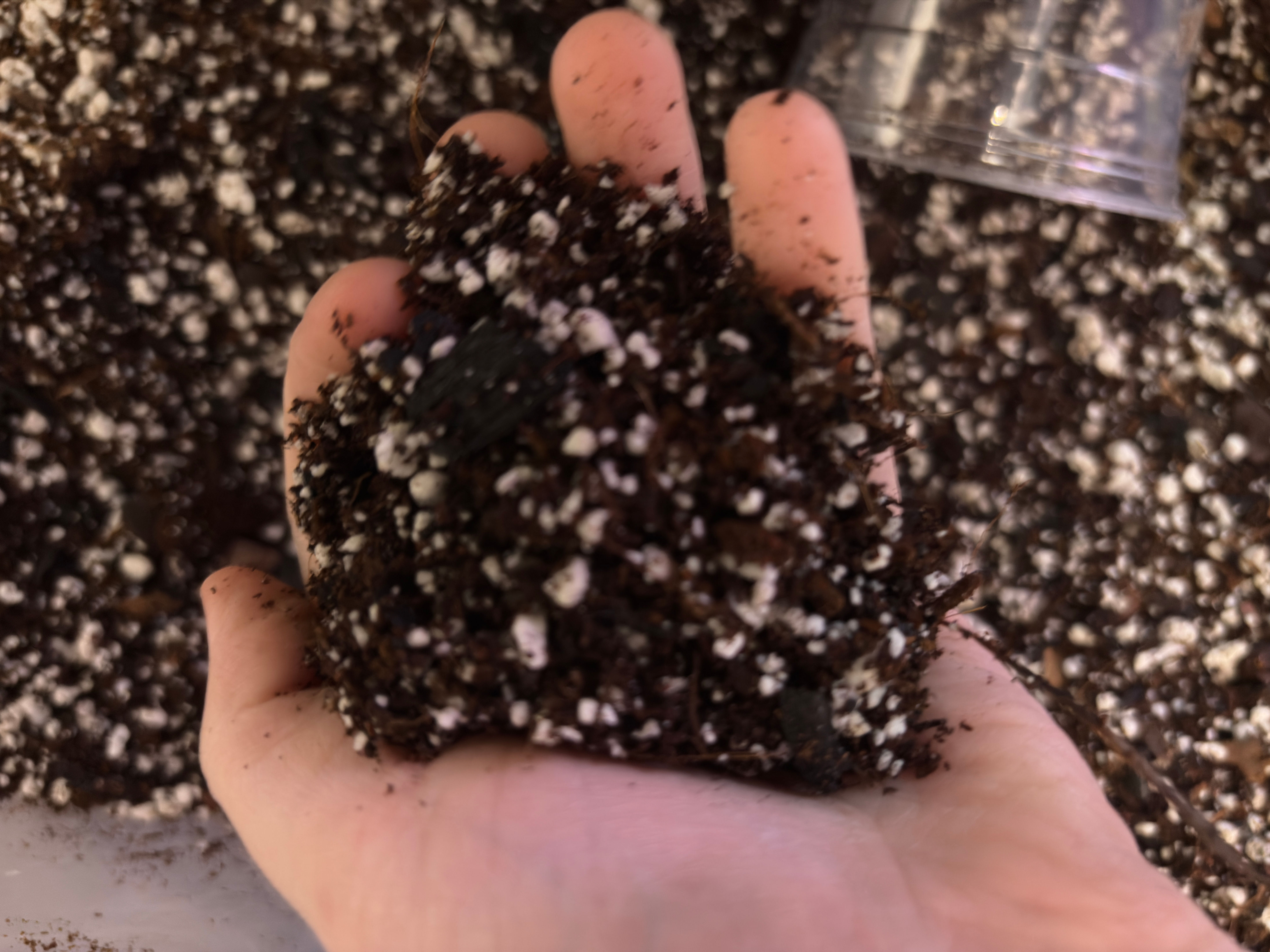 Bite and Bloom Botanicals Premium Chunky Aroid & Tropical Houseplant Mix