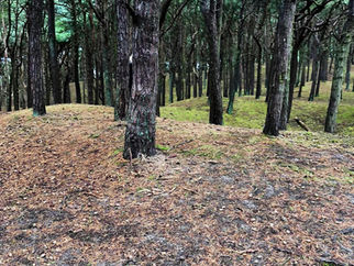 Good Morning on Friday 20th August. Turning wetter and breezier through the day in Formby