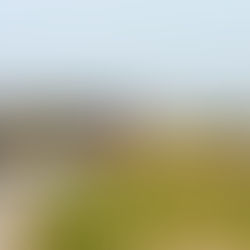 Dramatic Rescue at Formby Beach as Woman Found Alive After Major Emergency Response