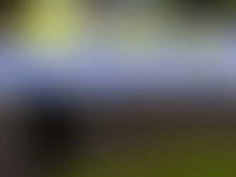 Car Accident on the Formby Bypass - 5:40pm