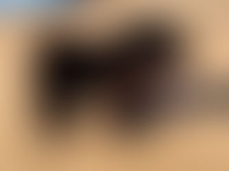 Good Morning on Friday 28th January. Some brightness at first, becoming cloudy and breezy in Formby