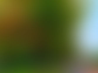 Today is the Autumn Equinox - 12hrs of day and 12hrs of night