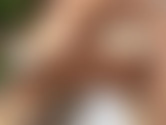 Over 400 Bricks for sale for £50