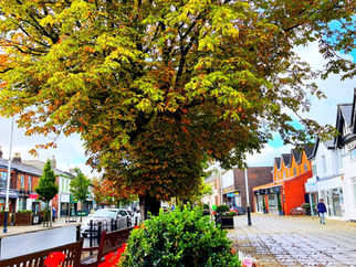 Good Morning on Thursday 30th September. Early heavy rain with 17mph winds in Formby