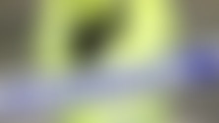 Dozens of people evacuated due to a Gas leak in Stanley Street, Bootle